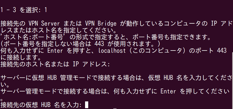 仮想HUB名を入力
